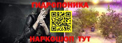 сатива Кимры