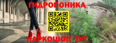 сатива Кимры