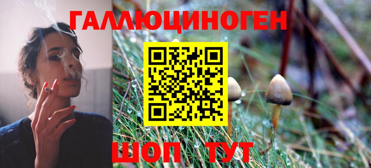 Лабытнанги  Галлюциногенные грибы Psilocybine cubensis  купить   Псилоцибиновые грибы мицелий  Вход с VPN 